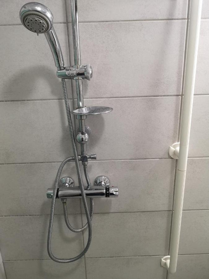 Bel Appartement, Grand Balcon Et Parking Prive Selestat Exterior photo